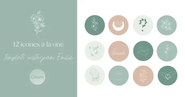Template instagram emilie icones a la une
