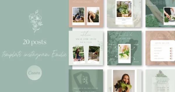 Template instagram emilie posts