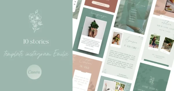 Template instagram emilie stories