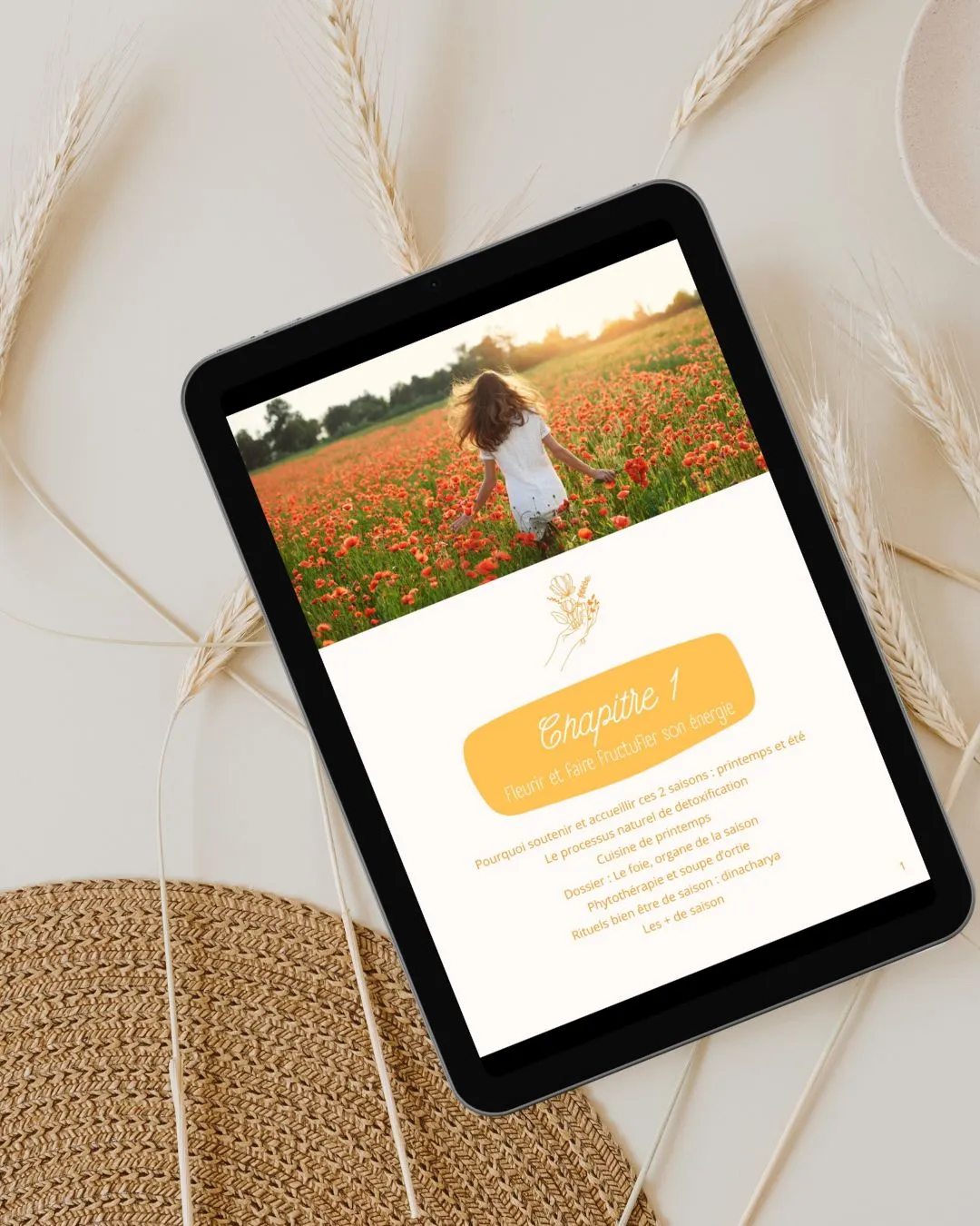 creation-ebook-paulinebcom