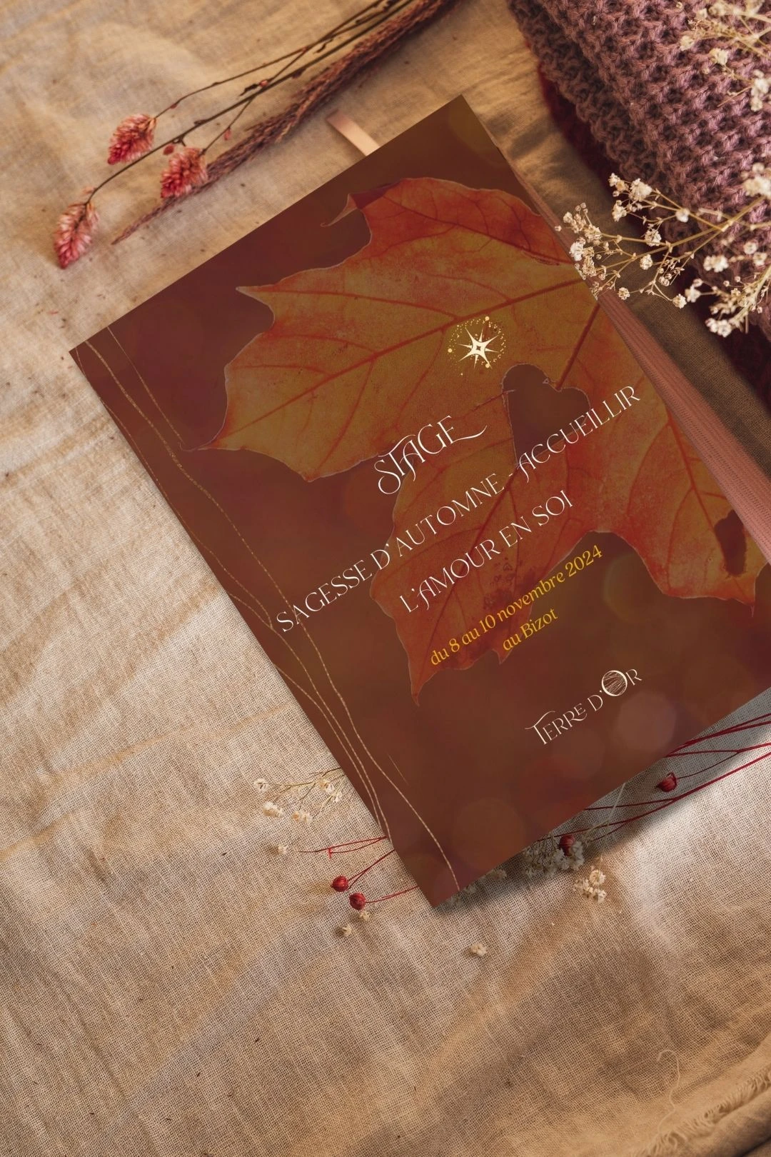 creation flyer terre dor